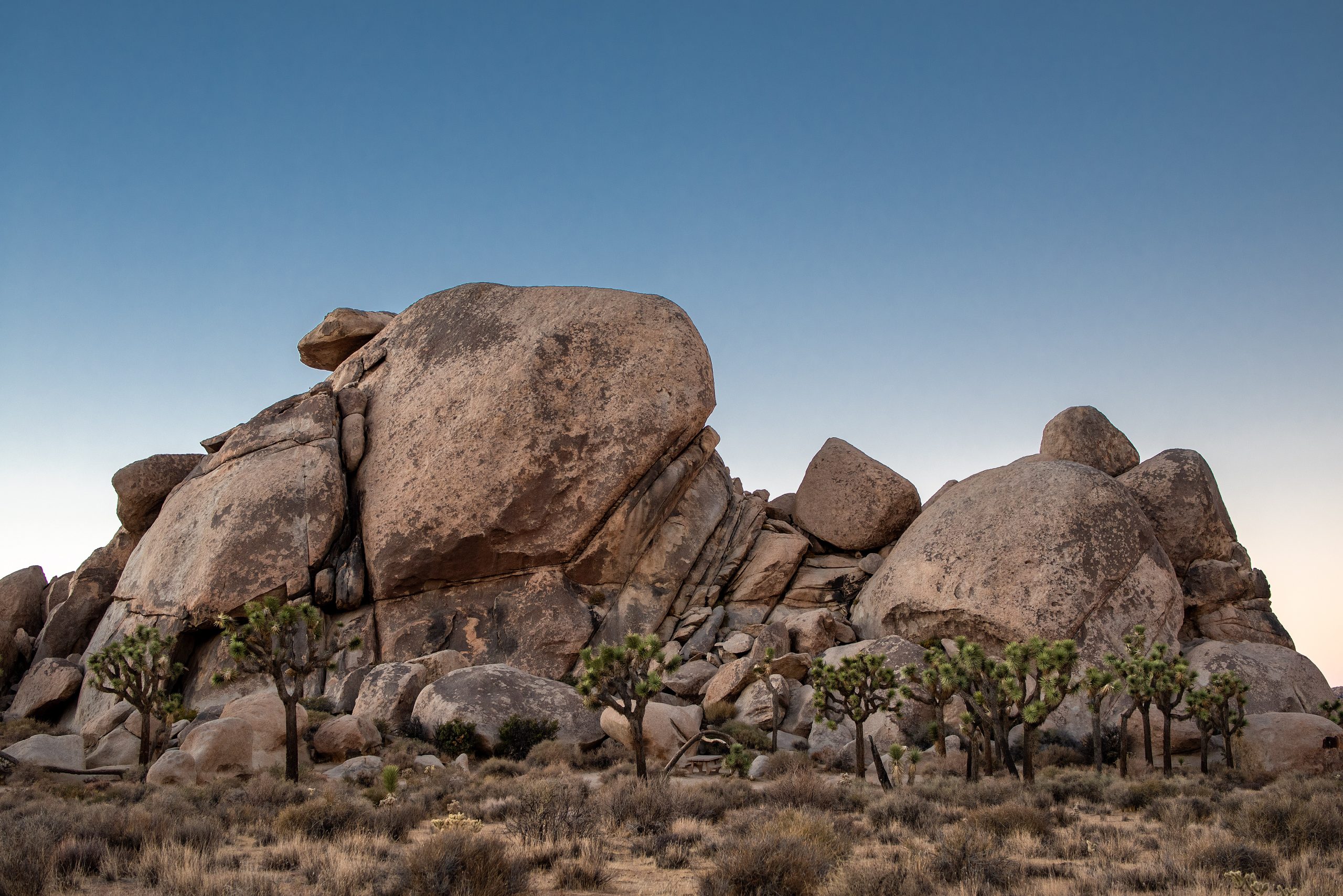 Joshua Tree Revisited